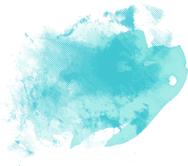 Sandra Regina da Silva Pinto